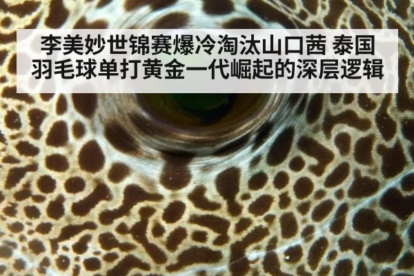 李美妙世锦赛爆冷淘汰山口茜 泰国羽毛球单打黄金一代崛起的深层逻辑